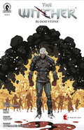 The Witcher: Blood Stone #3 Cover A Pius Bak – Dark Horse Comics