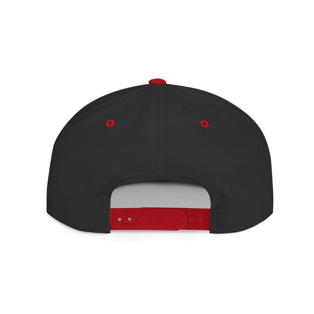 Snapback Hat - Skateboard Killer Design