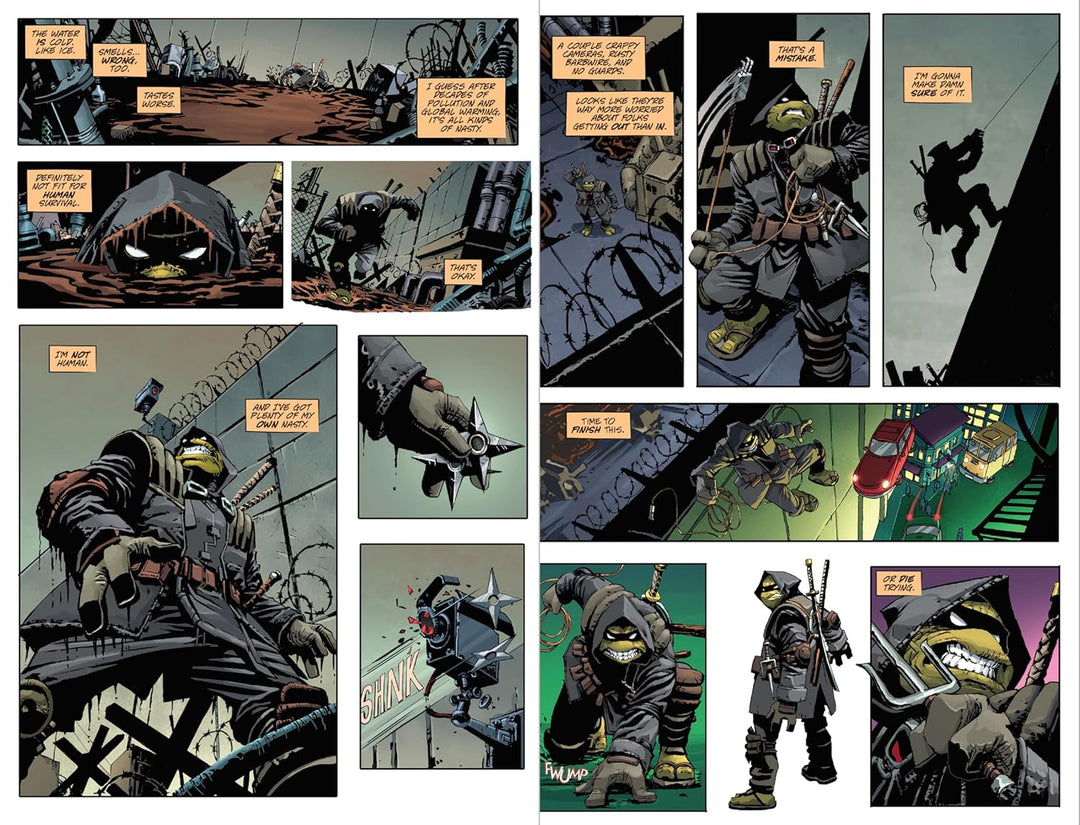 Teenage Mutant Ninja Turtles: The Last Ronin