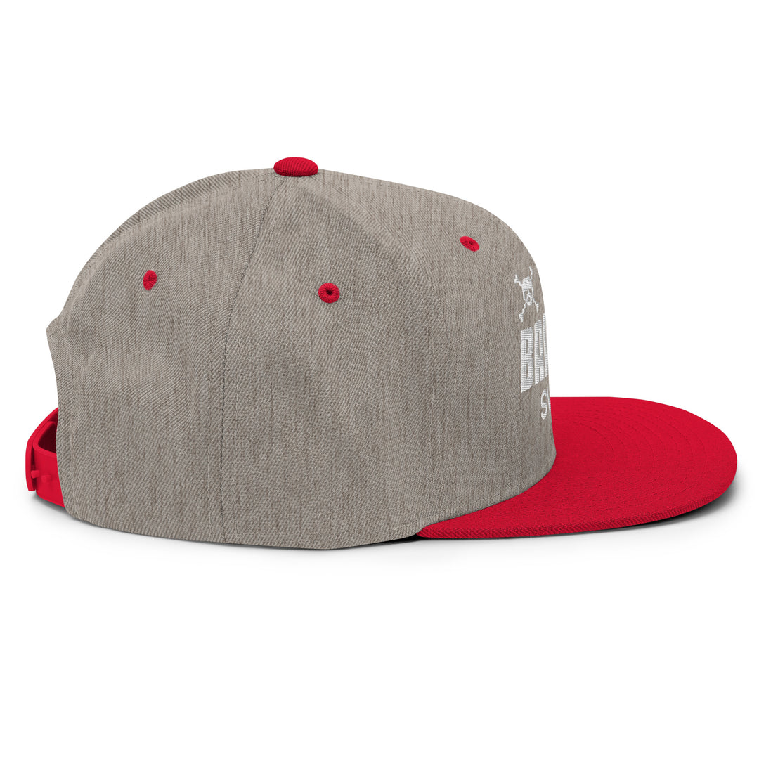 BraggerSwine Game Over Snapback Hat